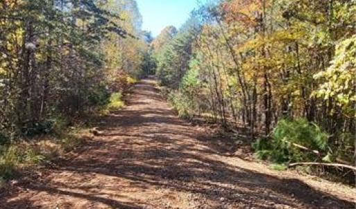 Photo #5 of 347 Wray, Stoneville, NC 40.1 acres