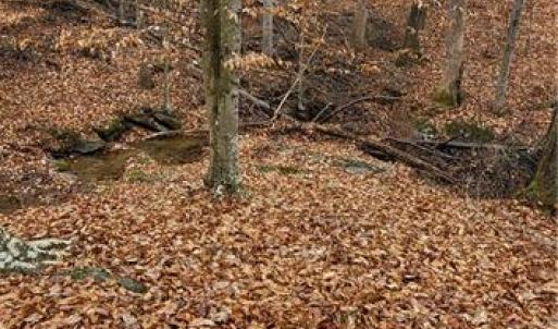 Photo #20 of 347 Wray, Stoneville, NC 40.1 acres