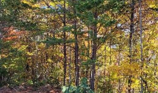 Photo #9 of 347 Wray, Stoneville, NC 40.1 acres