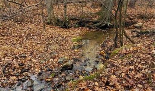 Photo #30 of 347 Wray, Stoneville, NC 40.1 acres