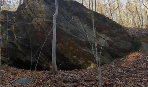 Photo #34 of 347 Wray, Stoneville, NC 40.1 acres