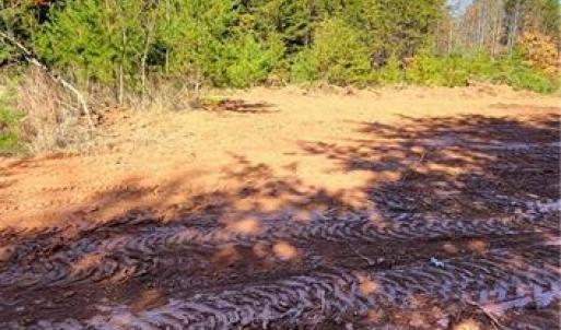 Photo #15 of 347 Wray, Stoneville, NC 40.1 acres