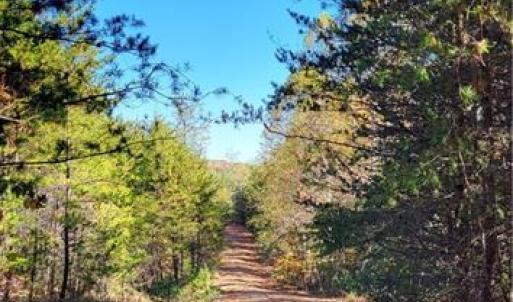 Photo #11 of 347 Wray, Stoneville, NC 40.1 acres