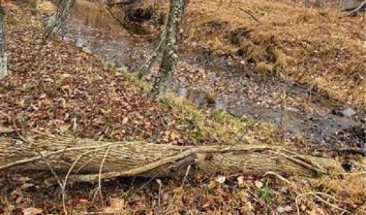 Photo #31 of 347 Wray, Stoneville, NC 40.1 acres