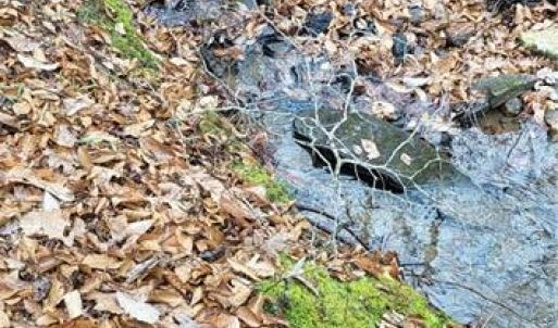 Photo #29 of 347 Wray, Stoneville, NC 40.1 acres