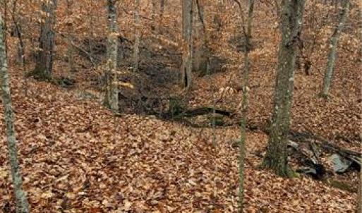 Photo #21 of 347 Wray, Stoneville, NC 40.1 acres