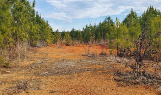 Photo #23 of 420 Tuckertown, New London, NC 142.5 acres