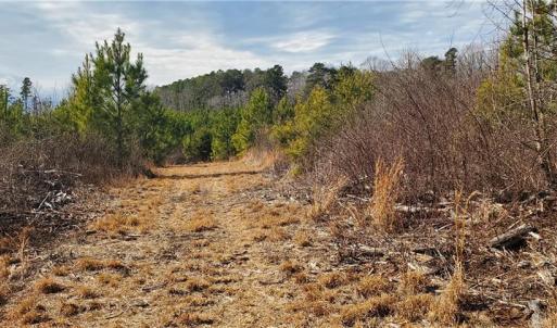 Photo #17 of 420 Tuckertown, New London, NC 142.5 acres