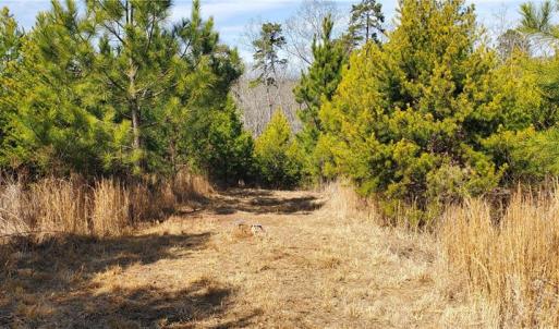 Photo #16 of 420 Tuckertown, New London, NC 142.5 acres