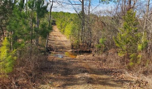 Photo #12 of 420 Tuckertown, New London, NC 142.5 acres
