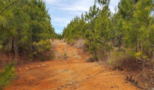 Photo #22 of 420 Tuckertown, New London, NC 142.5 acres