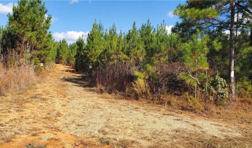 Photo #1 of 420 Tuckertown, New London, NC 142.5 acres