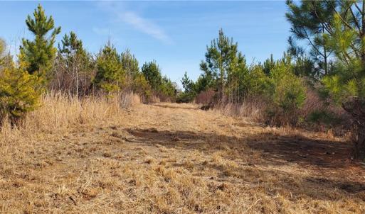 Photo #20 of 420 Tuckertown, New London, NC 142.5 acres