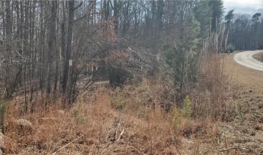 Photo #24 of 420 Tuckertown, New London, NC 142.5 acres