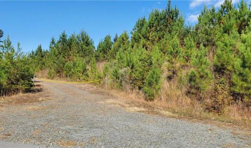 Photo #10 of 420 Tuckertown, New London, NC 142.5 acres