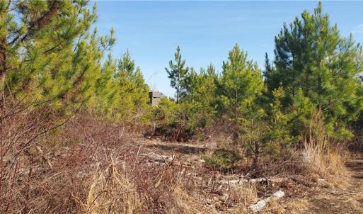 Photo #18 of 420 Tuckertown, New London, NC 142.5 acres