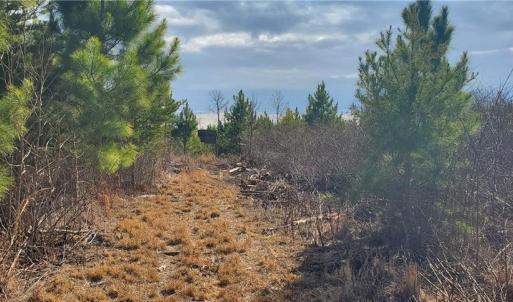 Photo #15 of 420 Tuckertown, New London, NC 142.5 acres