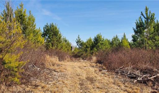 Photo #19 of 420 Tuckertown, New London, NC 142.5 acres