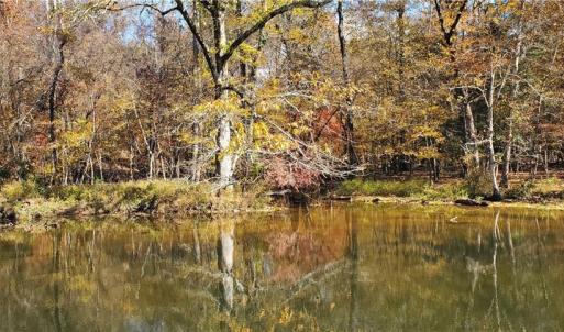 Photo #8 of 420 Tuckertown, New London, NC 142.5 acres