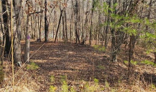 Photo #25 of 420 Tuckertown, New London, NC 142.5 acres