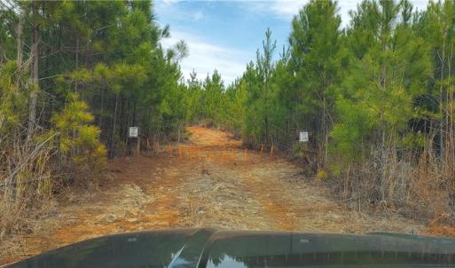 Photo #21 of 420 Tuckertown, New London, NC 142.5 acres