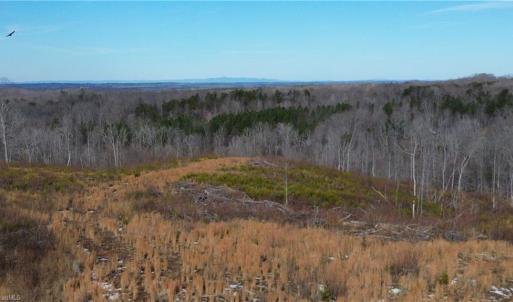 Photo #2 of Valley Level, Reidsville, NC 19.3 acres