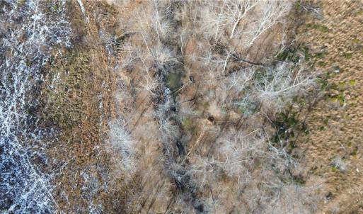 Photo #7 of Valley Level, Reidsville, NC 19.3 acres