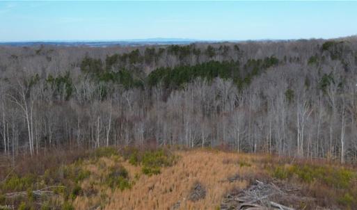 Photo #3 of Valley Level, Reidsville, NC 19.3 acres