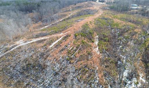 Photo #5 of Valley Level, Reidsville, NC 19.3 acres