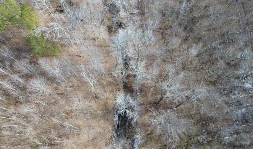 Photo #11 of Valley Level, Reidsville, NC 19.3 acres