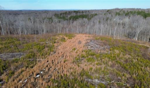 Photo #4 of Valley Level, Reidsville, NC 19.3 acres