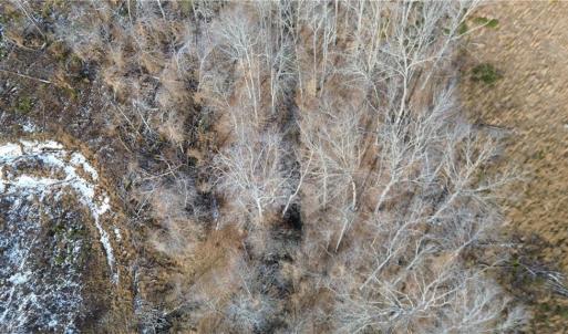 Photo #8 of Valley Level, Reidsville, NC 19.3 acres