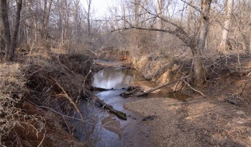 Photo #6 of Reynolda, Pfafftown, NC 13.1 acres