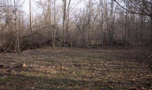 Photo #13 of Reynolda, Pfafftown, NC 13.1 acres
