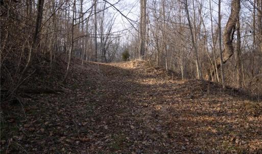 Photo #17 of Reynolda, Pfafftown, NC 13.1 acres