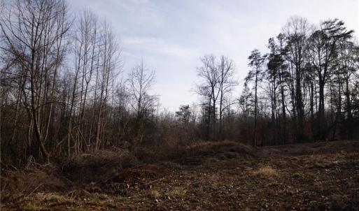 Photo #16 of Reynolda, Pfafftown, NC 13.1 acres