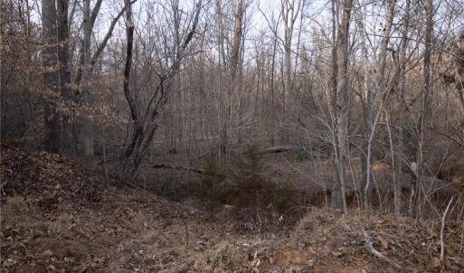 Photo #12 of Reynolda, Pfafftown, NC 13.1 acres