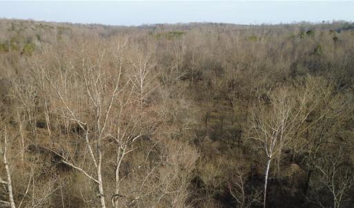 Photo #3 of Reynolda, Pfafftown, NC 13.1 acres