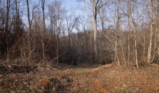 Photo #5 of Reynolda, Pfafftown, NC 13.1 acres