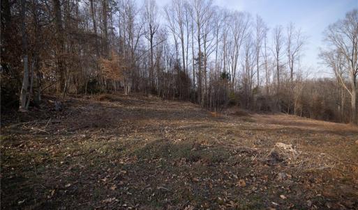 Photo #10 of Reynolda, Pfafftown, NC 13.1 acres