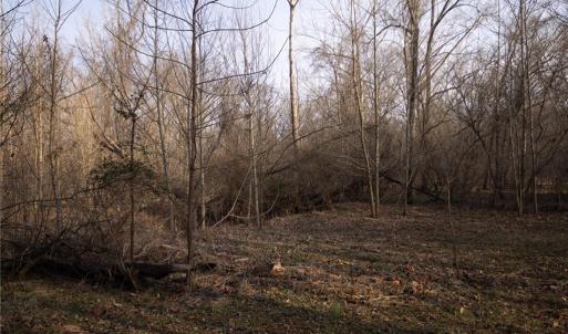 Photo #14 of Reynolda, Pfafftown, NC 13.1 acres