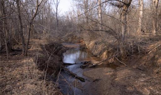 Photo #18 of Reynolda, Pfafftown, NC 13.1 acres