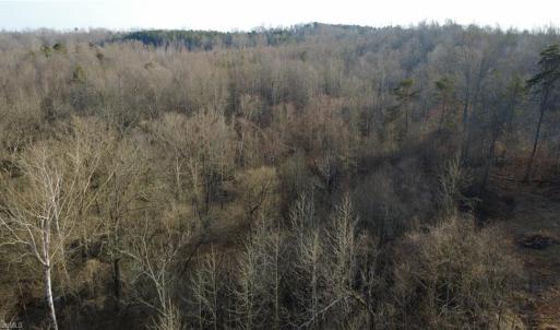 Photo #15 of Reynolda, Pfafftown, NC 13.1 acres