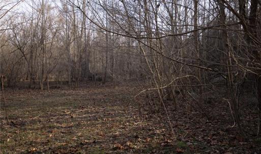 Photo #19 of Reynolda, Pfafftown, NC 13.1 acres