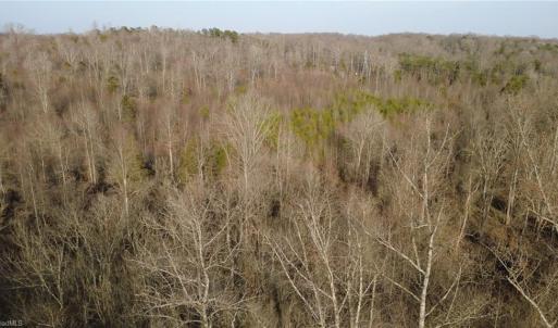 Photo #4 of Reynolda, Pfafftown, NC 13.1 acres