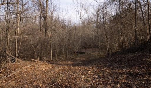 Photo #8 of Reynolda, Pfafftown, NC 13.1 acres