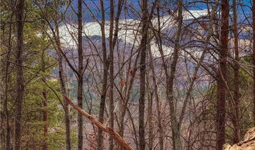 Photo #13 of 1026 Sierra Trace, Denton, NC 4.7 acres