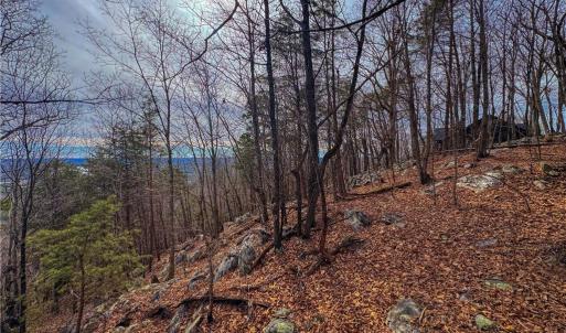 Photo #12 of 1026 Sierra Trace, Denton, NC 4.7 acres