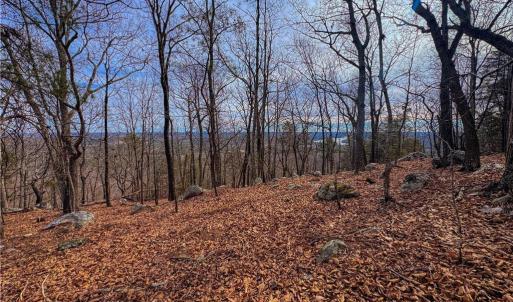 Photo #7 of 1026 Sierra Trace, Denton, NC 4.7 acres