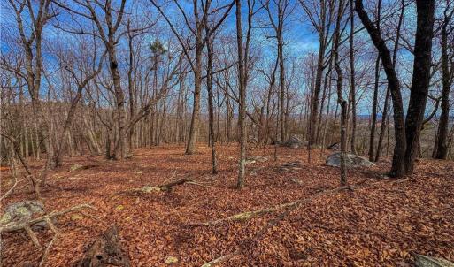 Photo #5 of 1026 Sierra Trace, Denton, NC 4.7 acres